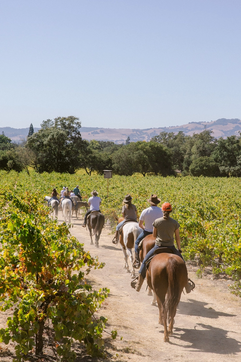 President Trip - Horse ride - valley Girls Napa