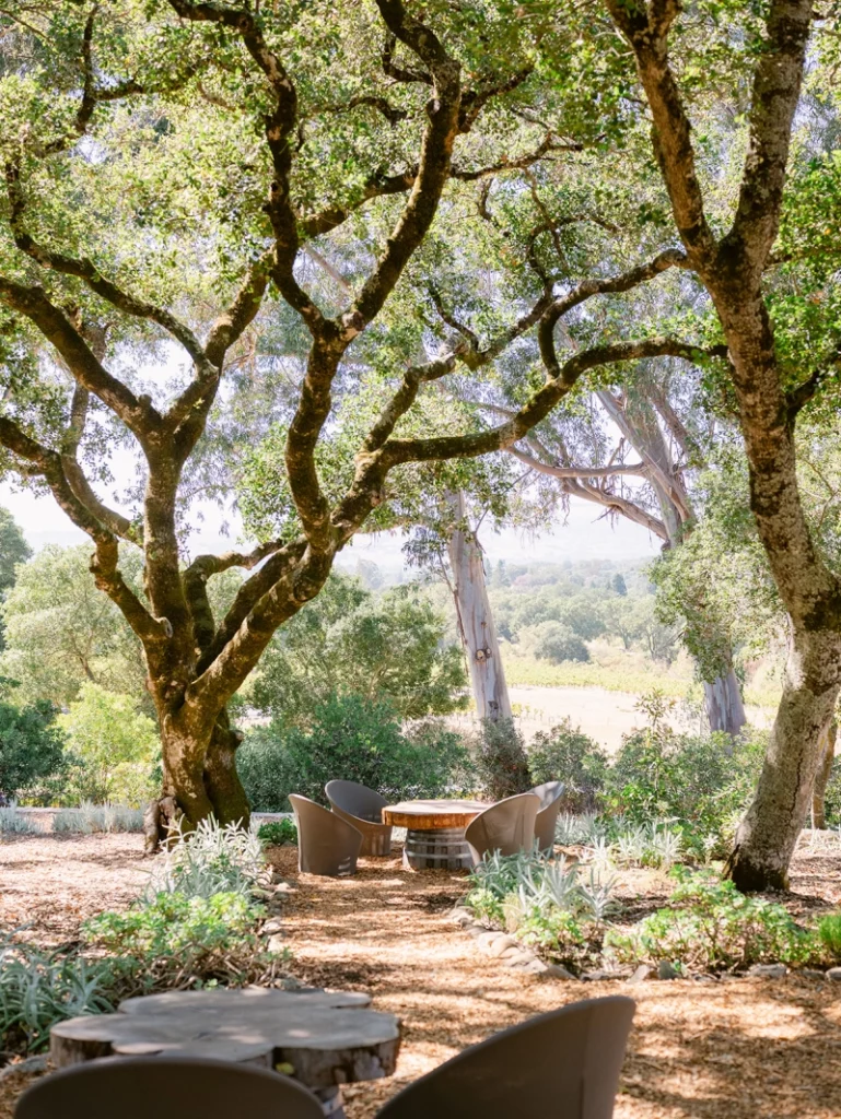seating areas i sonama - valley Girls Napa