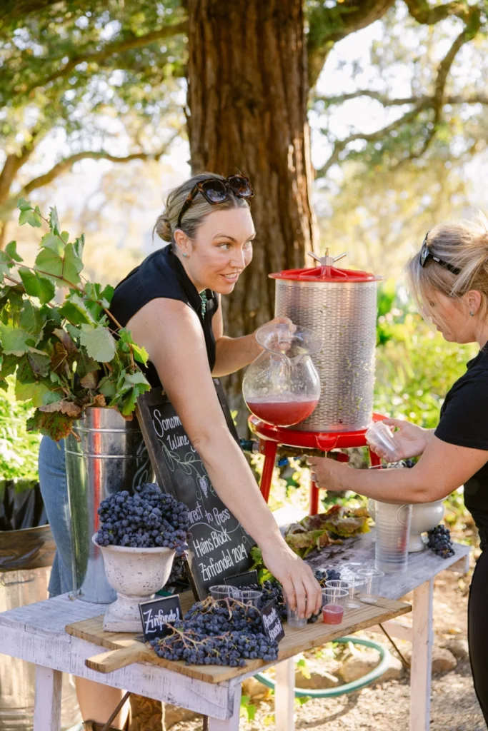 wine serve - valley girls napa