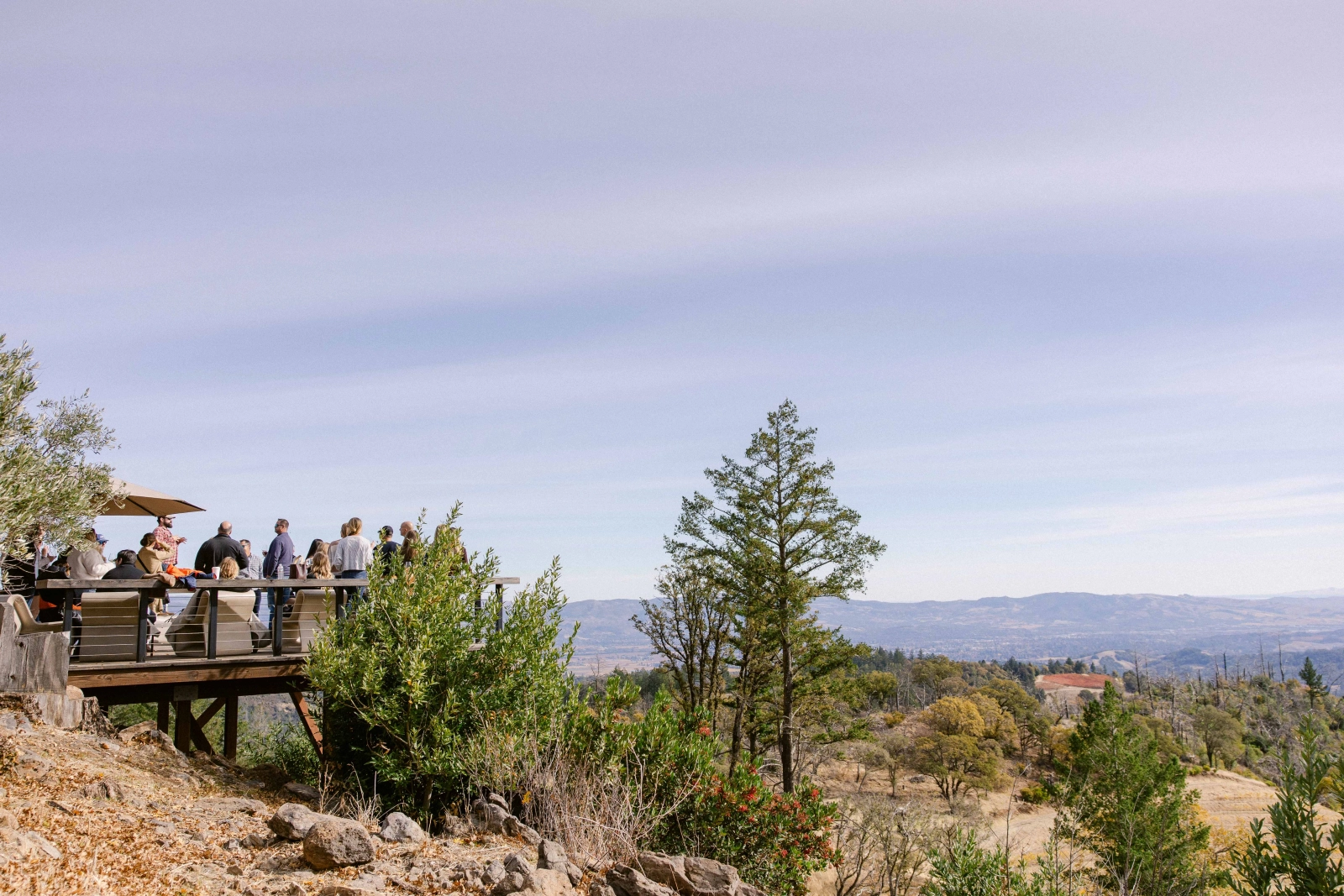 mountaintop-winery