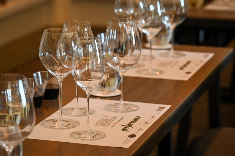 Wine glass tasting experience