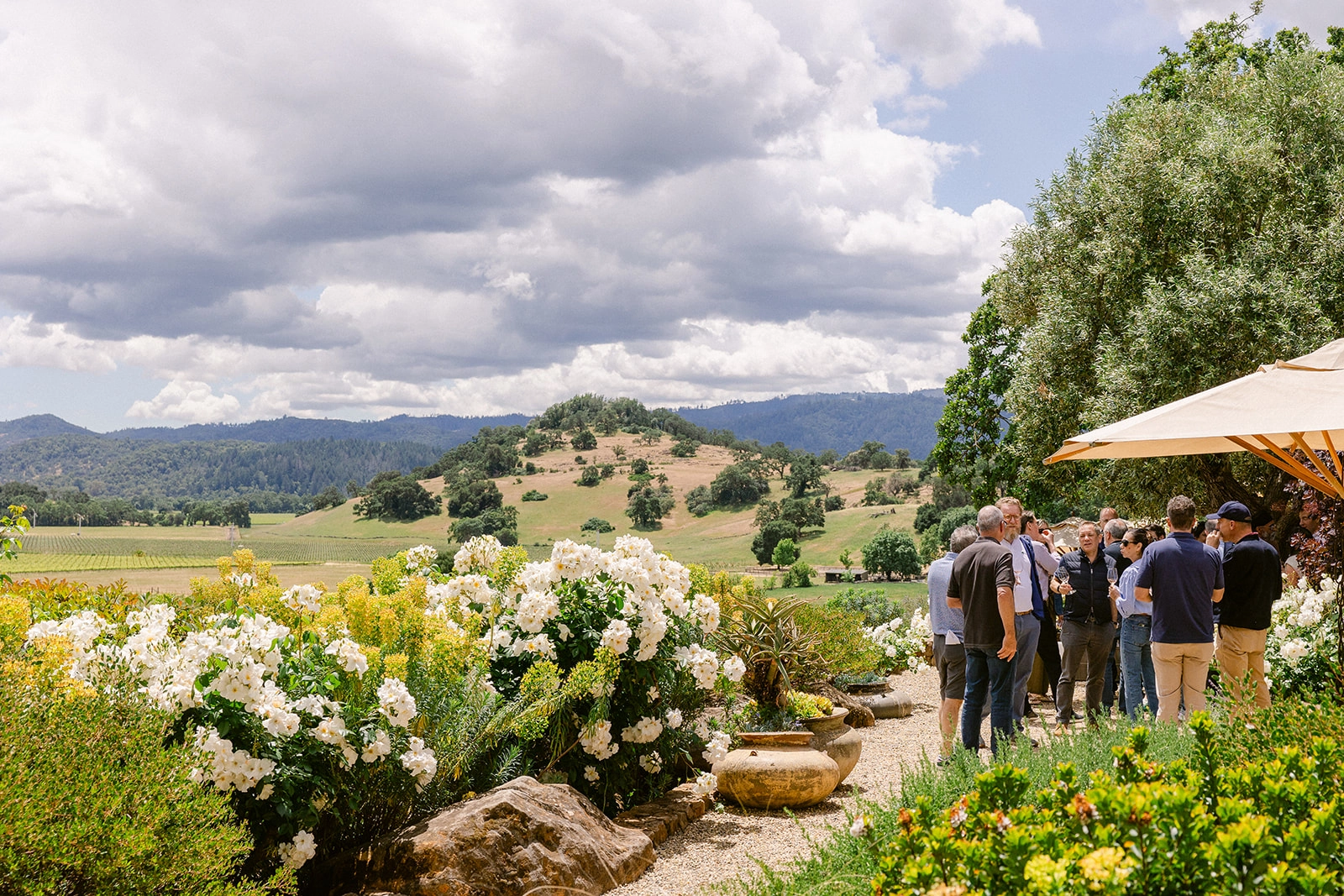 5 Most Beautiful Wineries in Napa Valley