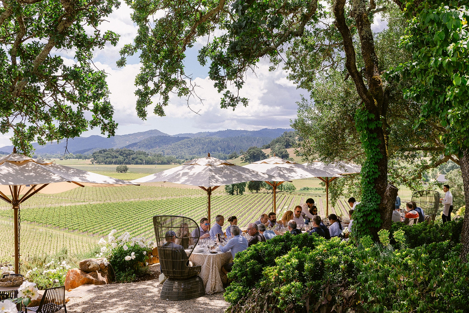 5 Most Beautiful Wineries in Napa Valley