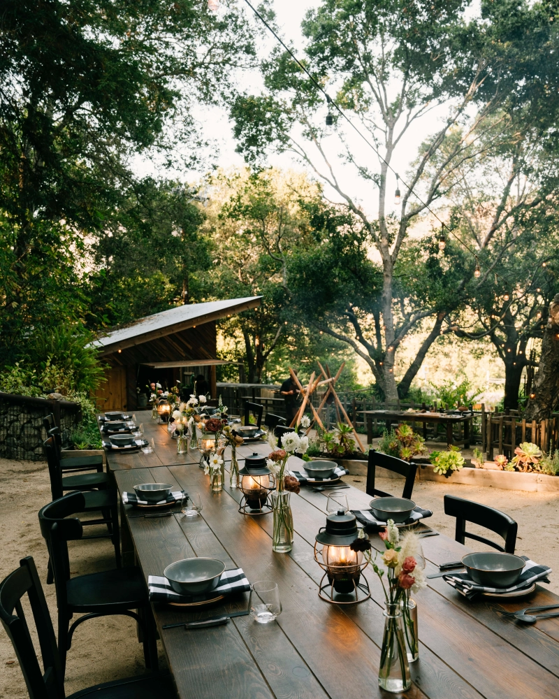 Forest event space