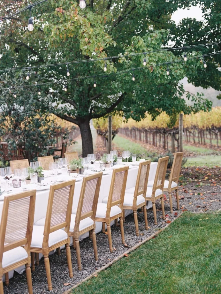 Vineyard brunch setup