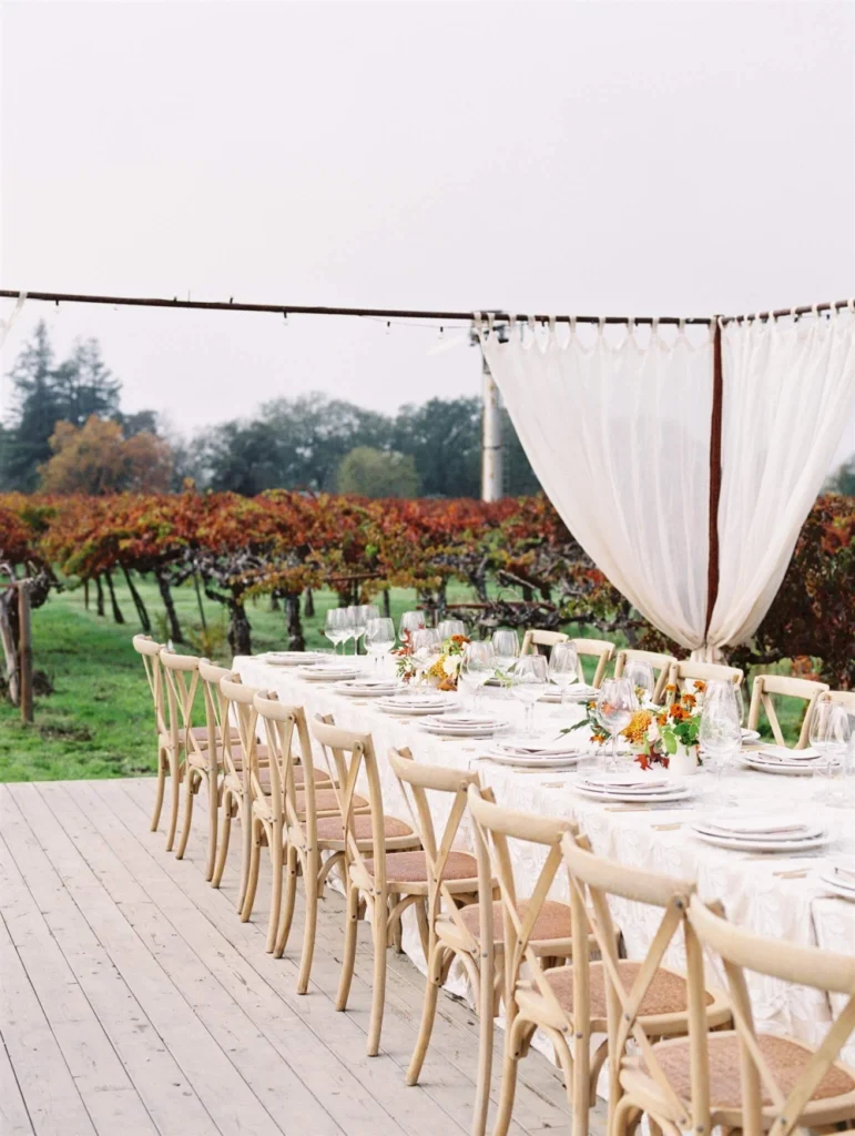 Vineyard luncheon setup
