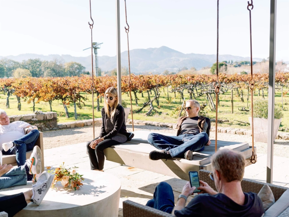 Carneros vineyard view