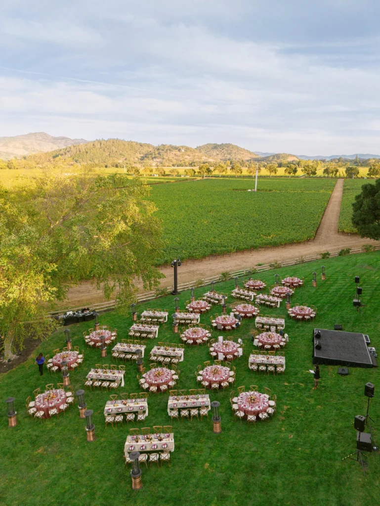 Chateau aerial view