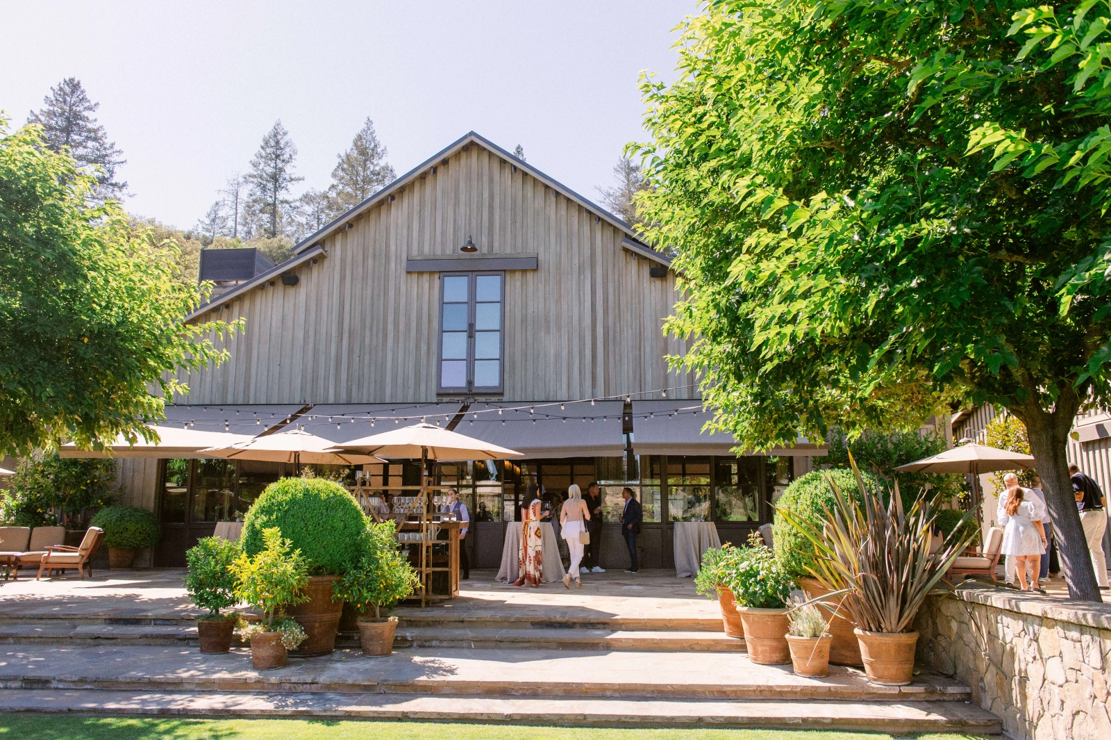 Rustic vineyard retreat
