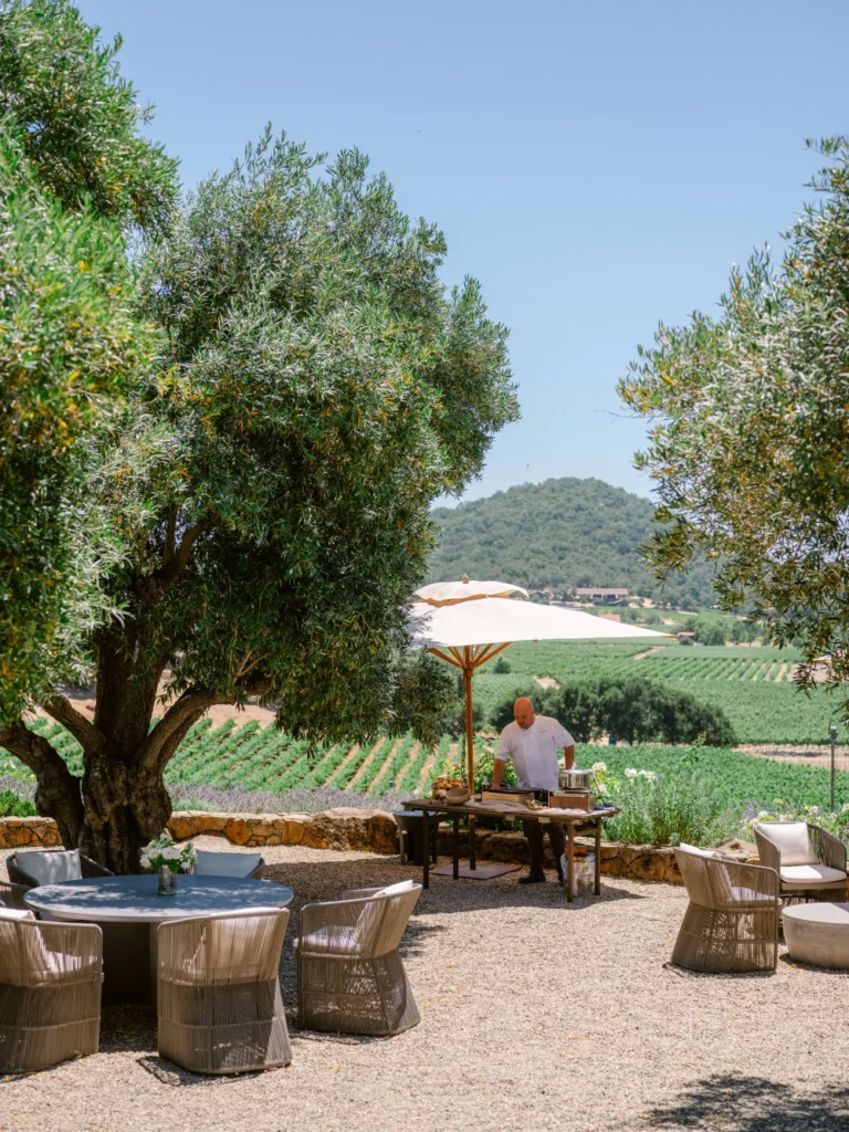 Meadowood vineyard lunch