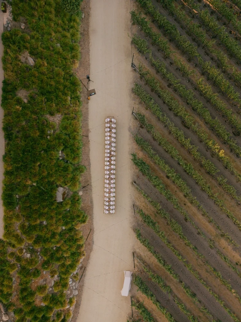 Vineyard sunset dinner