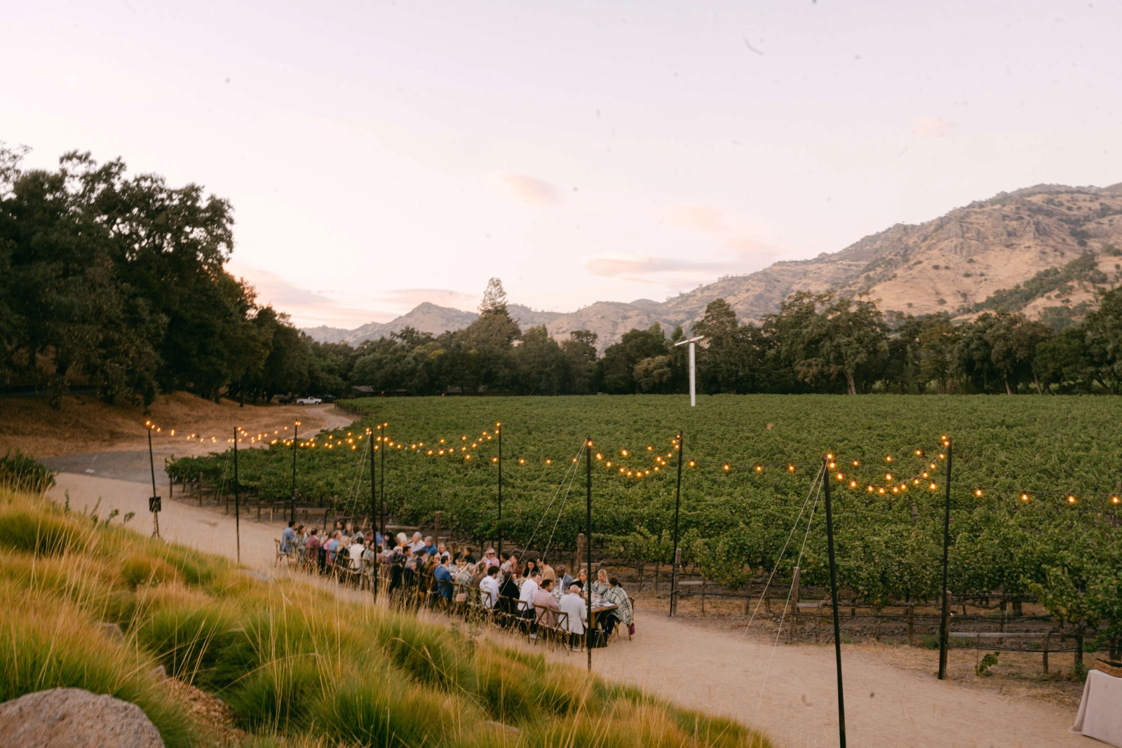 Vineyard dinner walkway