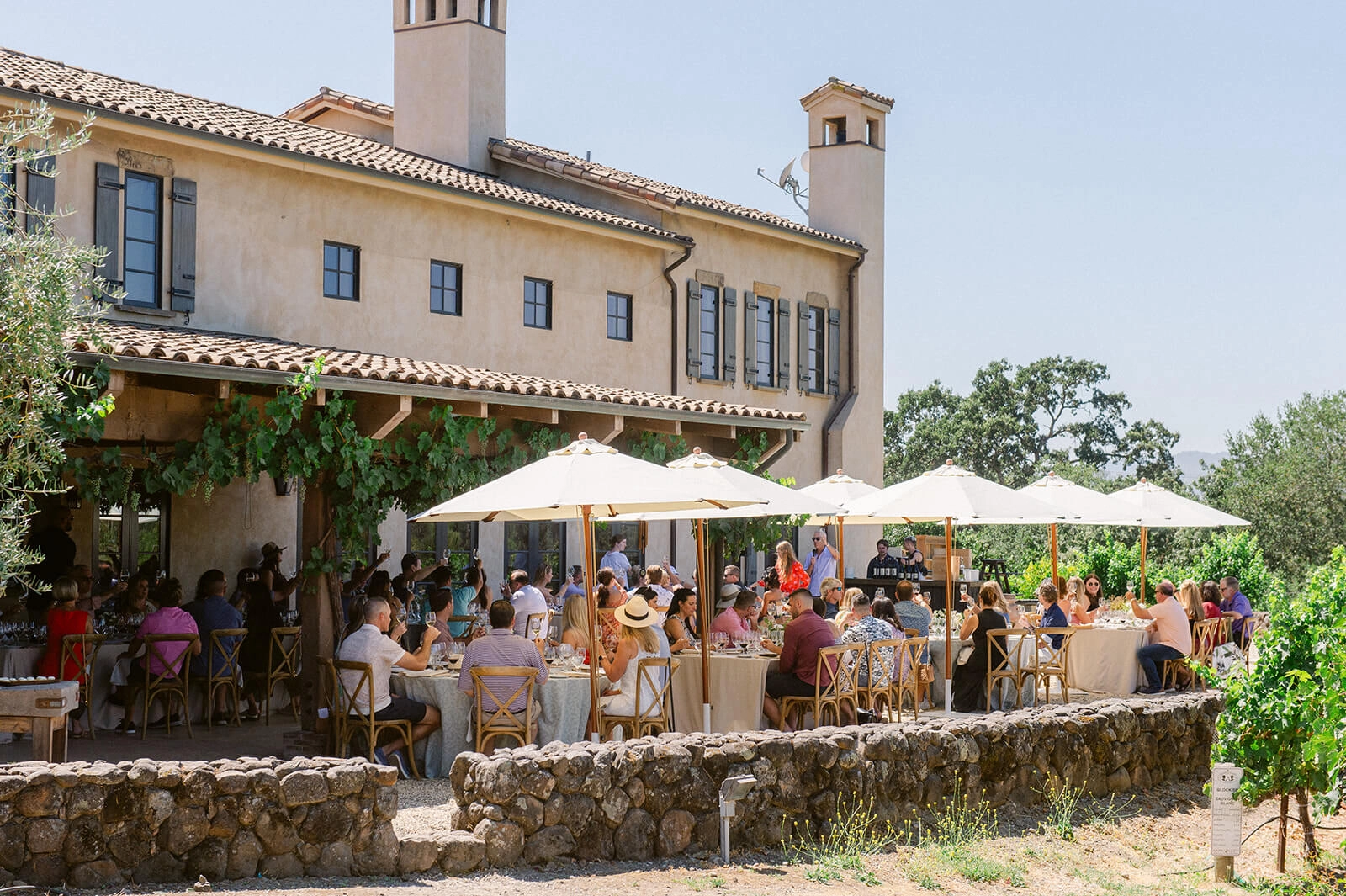 Outdoor winery lunch