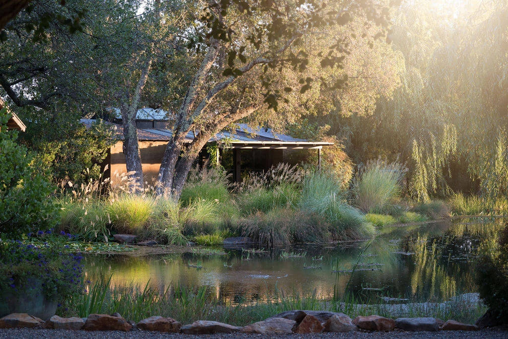 Best Time to Visit Napa Valley in 2026: Seasons Planning Guide