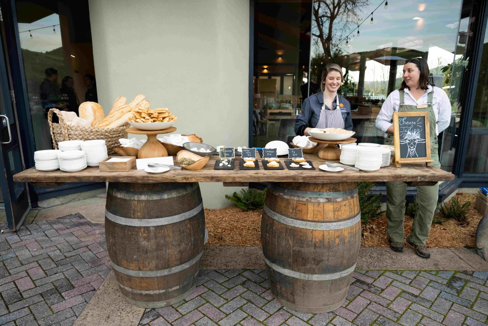 Cheese tasting setup