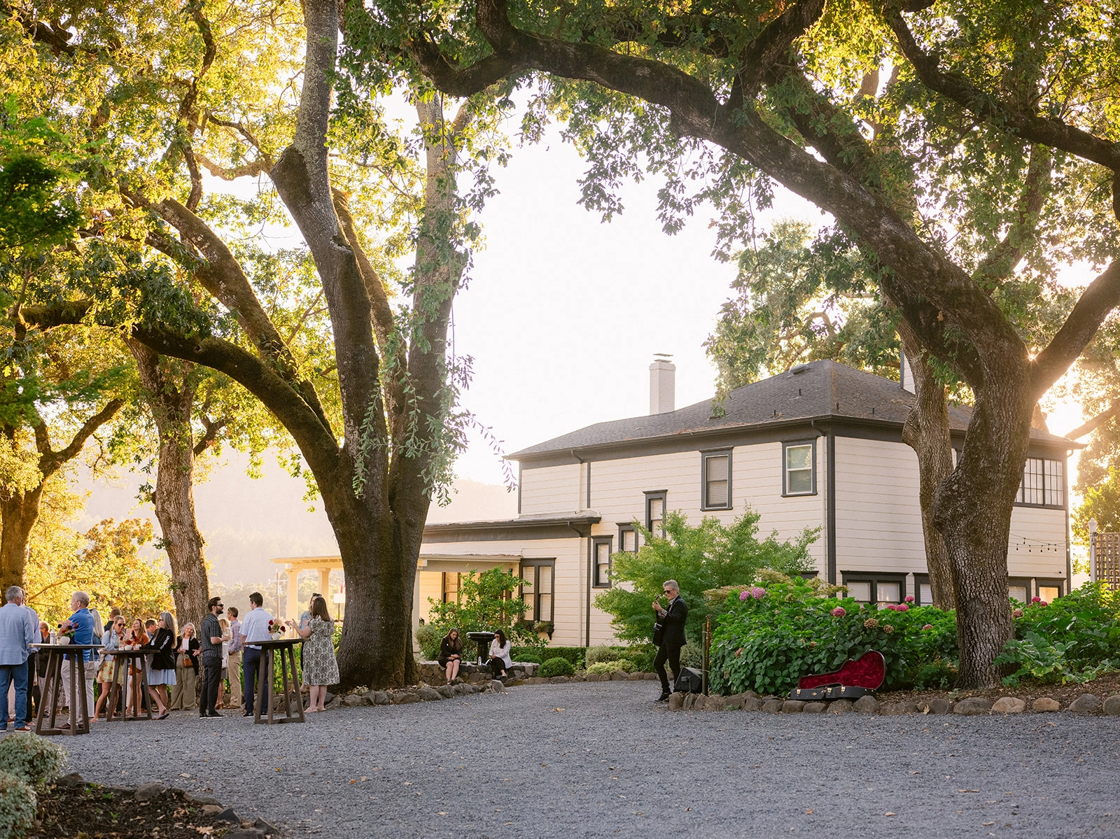 Cocktail reception with live music, Sonoma