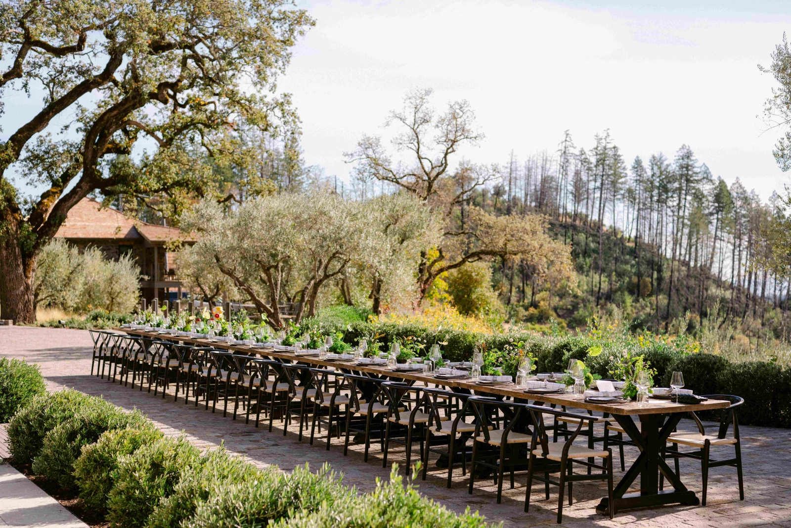 Best Time to Visit Napa Valley in 2026: Seasons Planning Guide