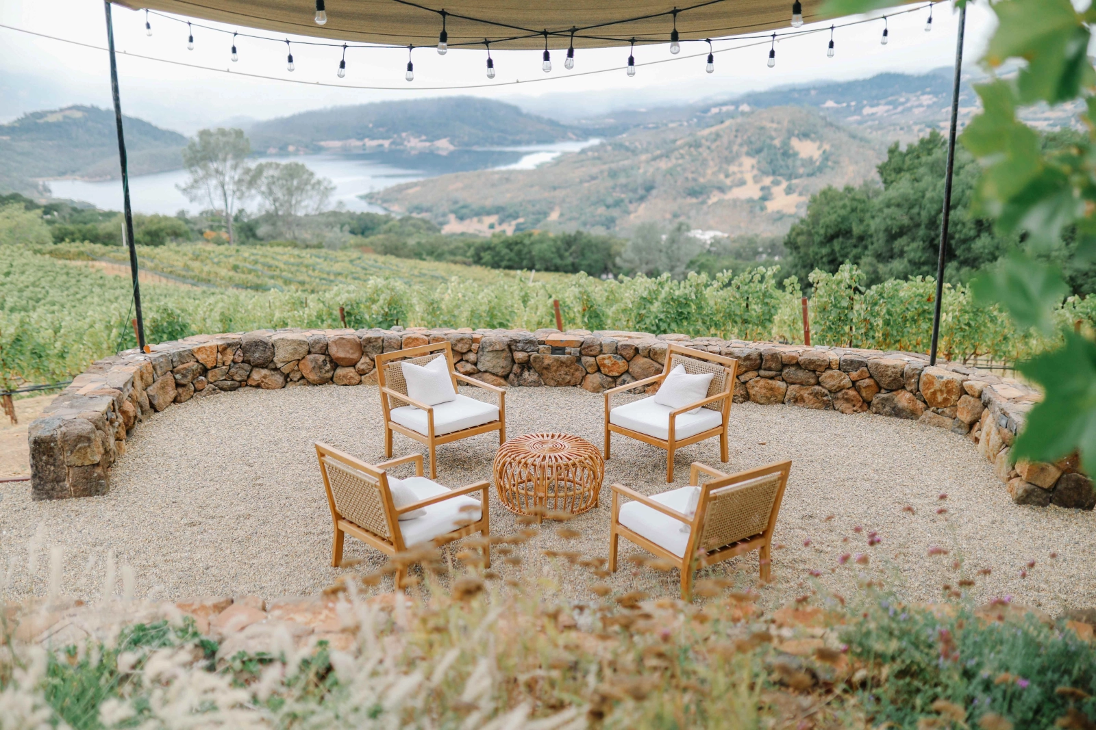 Winery views