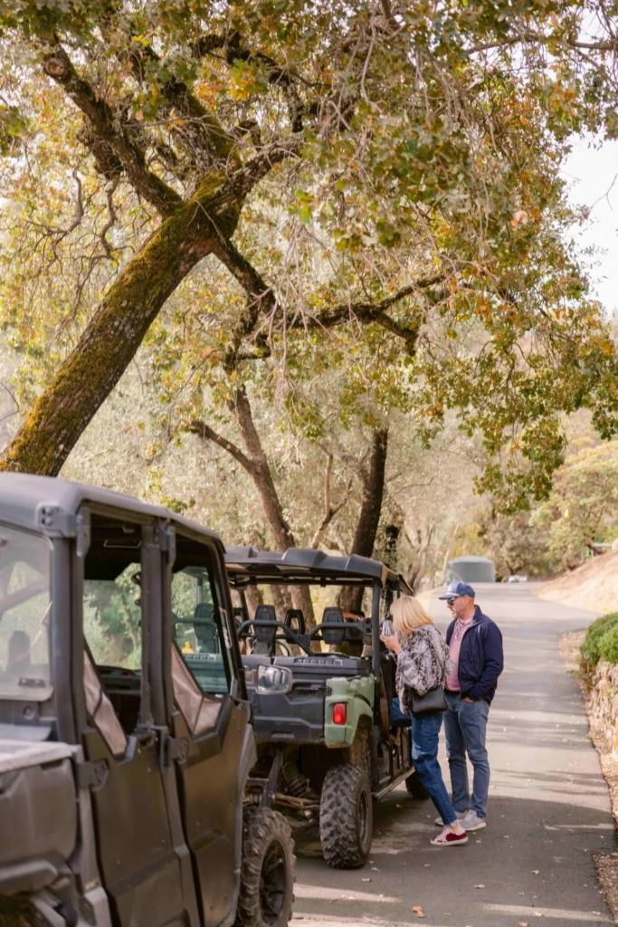 Vineyard ATV tour