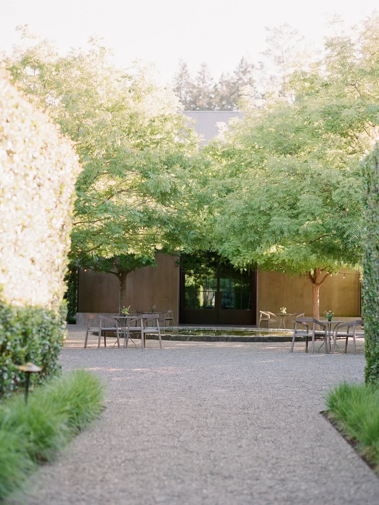 Wine tasting experience