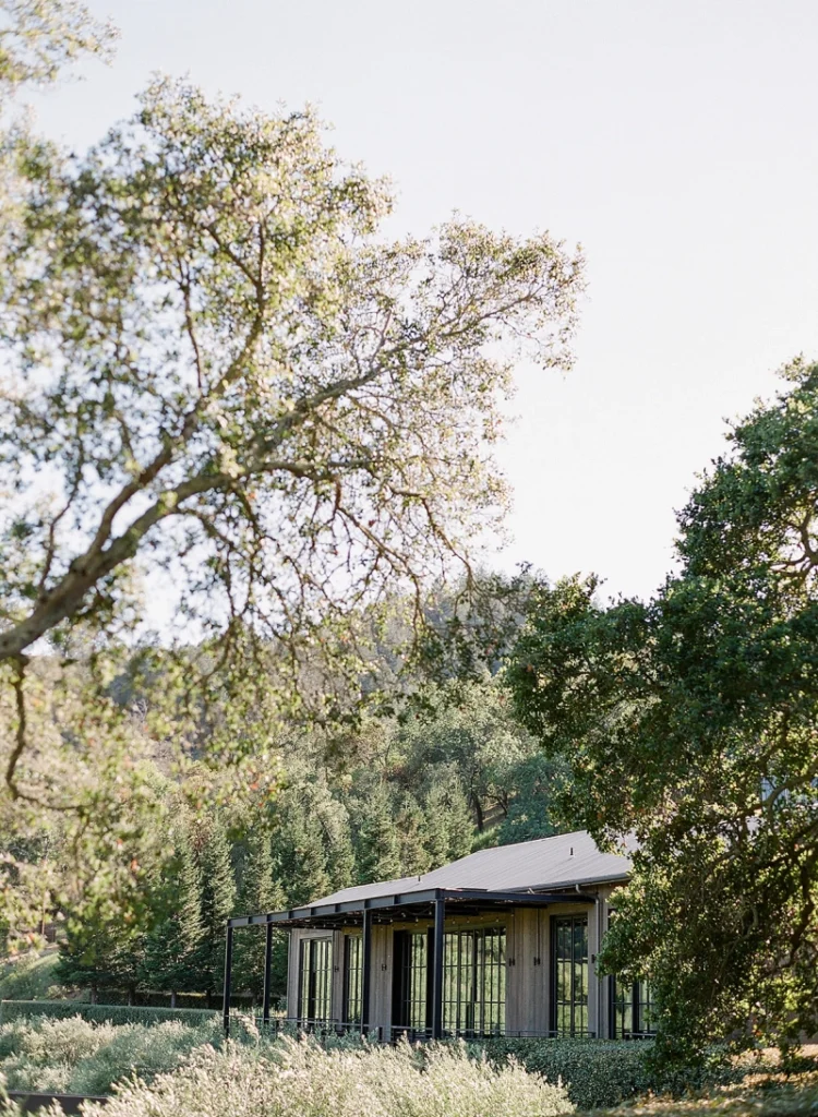 Vineyard reception