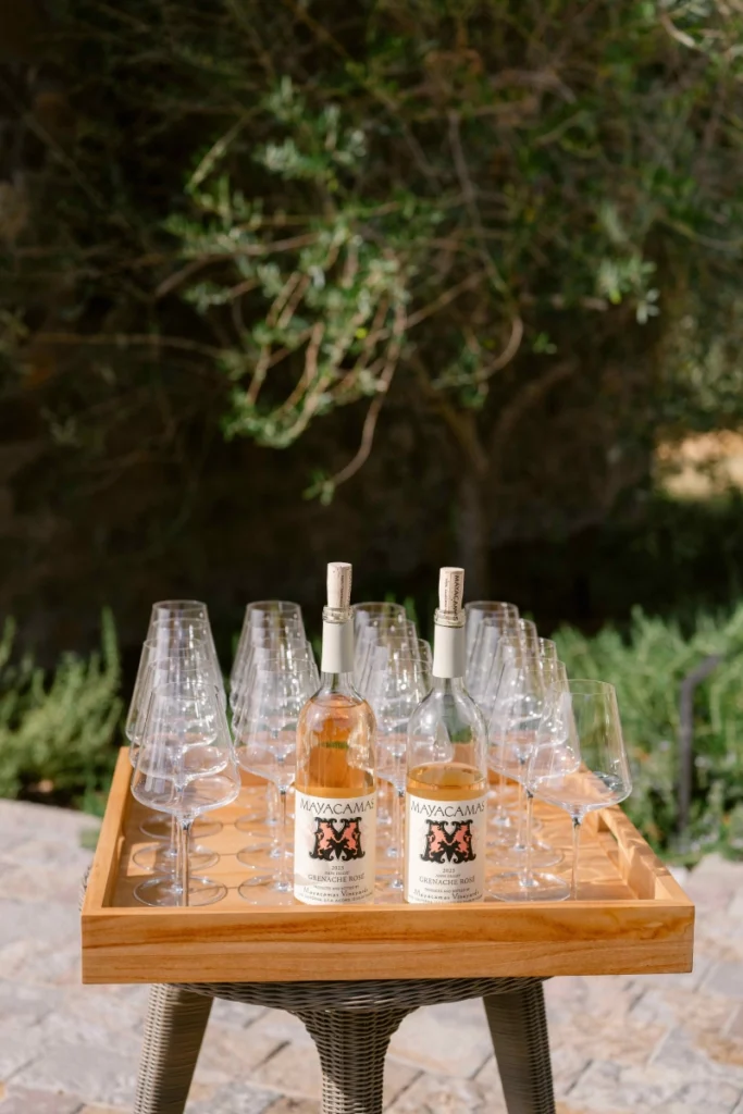 The Most Scenic Sonoma Vineyards for Unforgettable Views