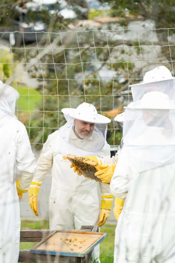 Beekeeping experience