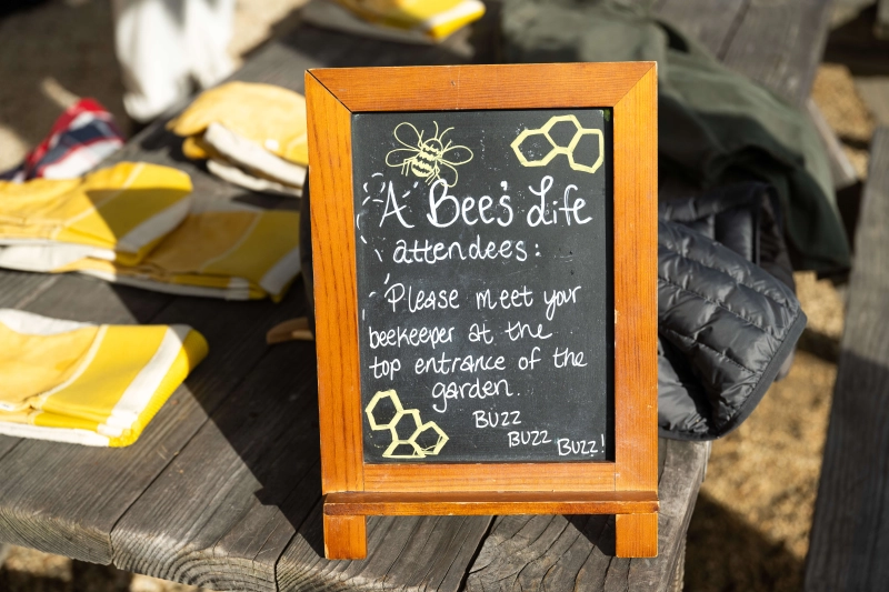Beekeeping activity