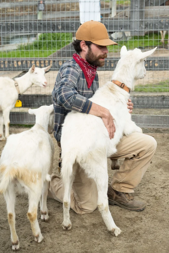 Ranch goats