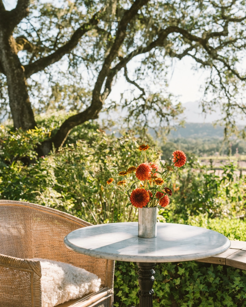 Wine country reception