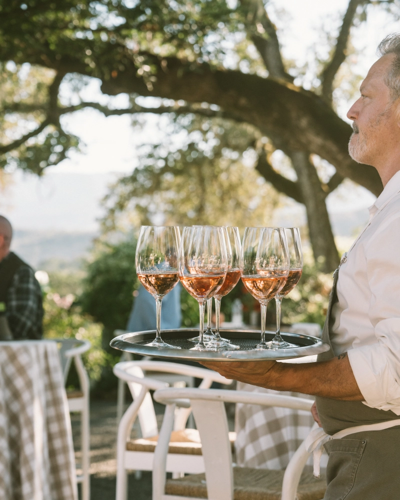 Vineyard dinner setup