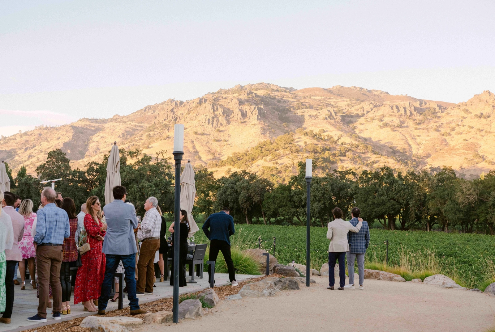 Napa vineyard gathering