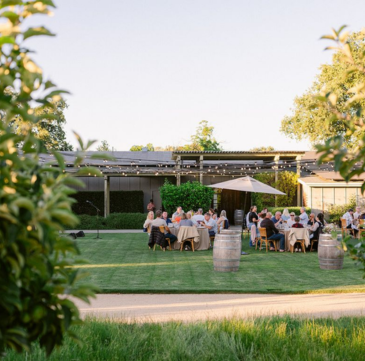 Best Time to Visit Napa Valley in 2026: Seasons Planning Guide