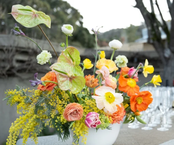 Bar arrangement, Carmel Valley